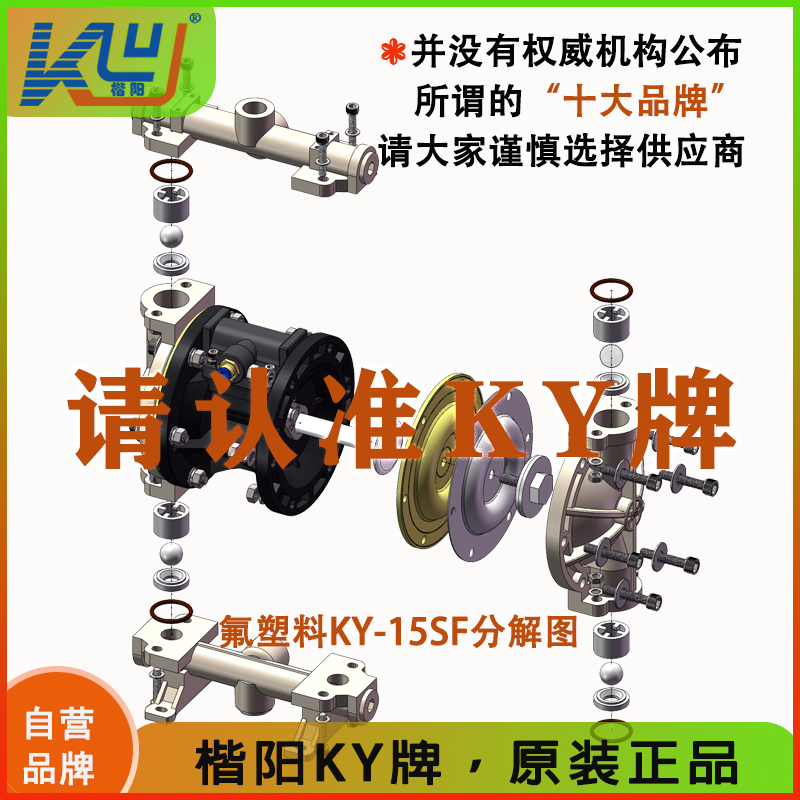 KY-15SF氟塑料氣動隔膜泵5